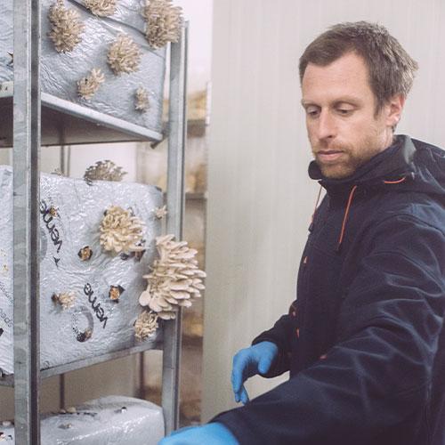 Sébastien Roche - Producteur de champignons